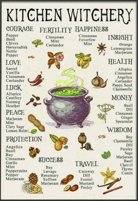 The Witch Cauldron's Influence on Herbalism: Infusing Magic into Medicinal Brews